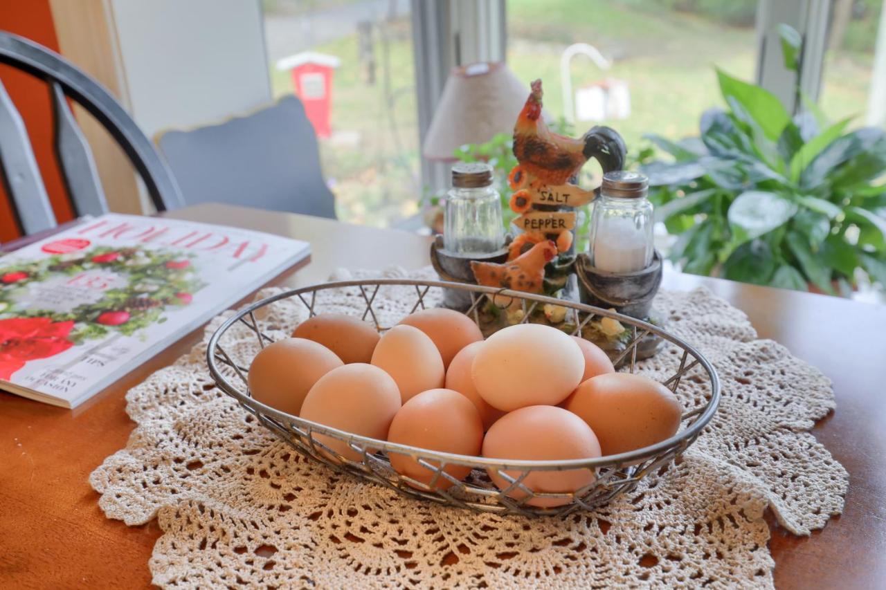 Hammer Creek Hideaway B&B Lititz Ngoại thất bức ảnh